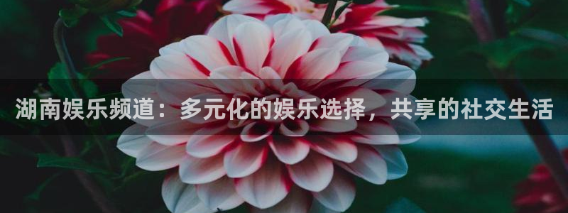 长运平台注册网站app：湖南娱乐频道：多元化的娱乐选择，共享的社交生活