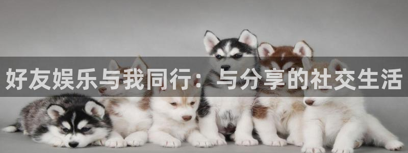 长运平台体育app下载：好友娱乐与我同行：与分享的社交生活