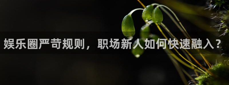 长运平台是赌博吗：娱乐圈严苛规则，职场新人如何快速融入？