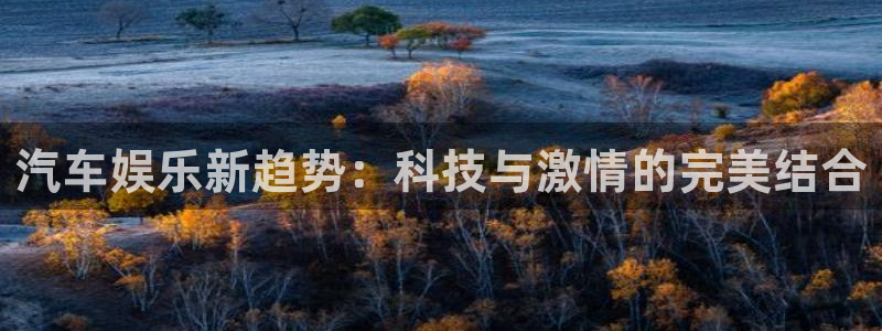 长运平台是啥：汽车娱乐新趋势：科技与激情的完美结合