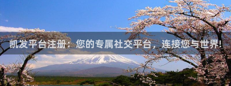 长运平台体育4：凯发平台注册：您的专属社交平台，连接您与世界!