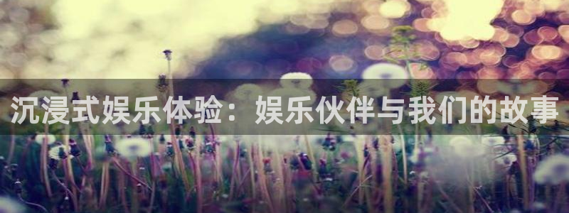 长运平台主管：沉浸式娱乐体验：娱乐伙伴与我们的故事