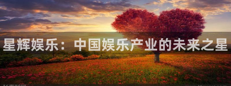 长运平台赏金女王：星辉娱乐：中国娱乐产业的未来之星