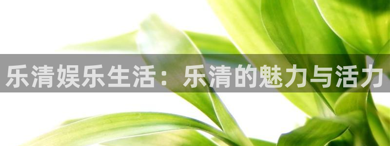 长运平台官网：乐清娱乐生活：乐清的魅力与活力