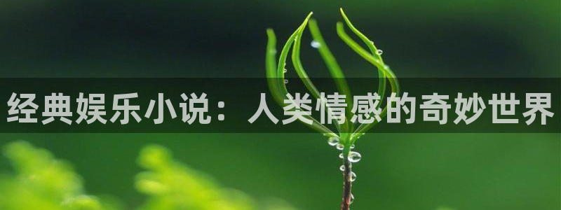 长运平台k：经典娱乐小说：人类情感的奇妙世界