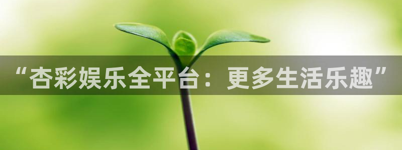长运平台集团官网