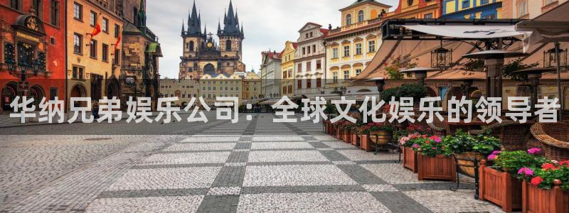 德国长运平台集团：华纳兄弟娱乐公司：全球文化娱乐的领导者