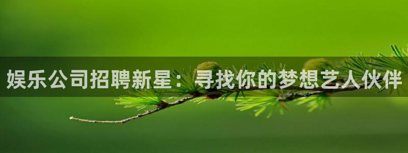 长运平台注册网站链接：娱乐公司招聘新星：寻找你的梦想艺人伙伴