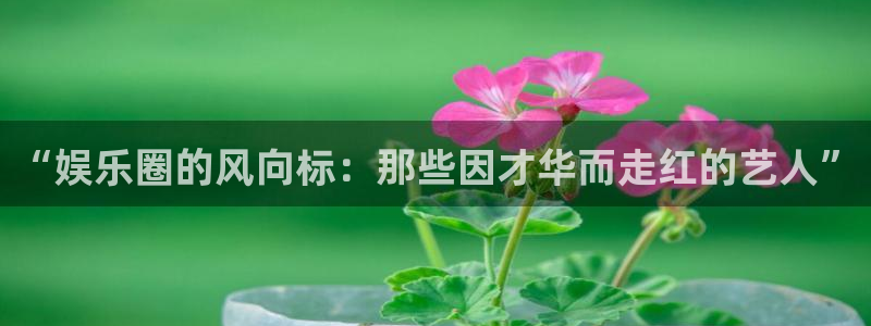 长运平台是什么平台：“娱乐圈的风向标：那些因才华而走红的艺人”