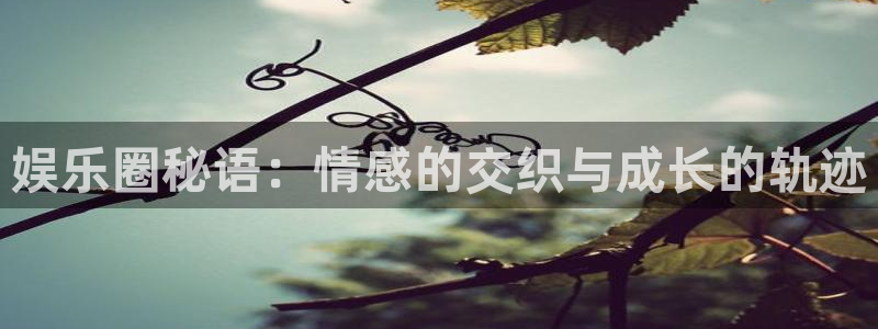 长运平台注册网站app：娱乐圈秘语：情感的交织与成长的轨迹