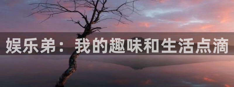 长运平台体育平台开号链接：娱乐弟：我的趣味和生活点滴