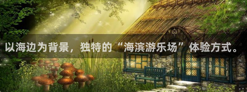 长运平台：以海边为背景，独特的“海滨游乐场”体验方式。