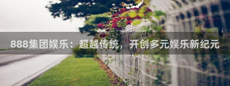 长运平台体育平台总代理：888集团娱乐：超越传统，开创多元娱乐新纪元