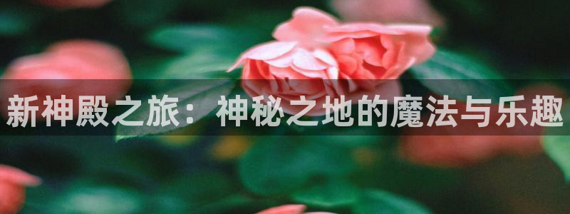 长运平台体育2官网入口：新神殿之旅：神秘之地的魔法与乐趣