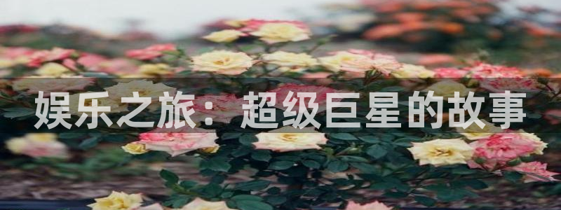 长运平台官网：娱乐之旅：超级巨星的故事