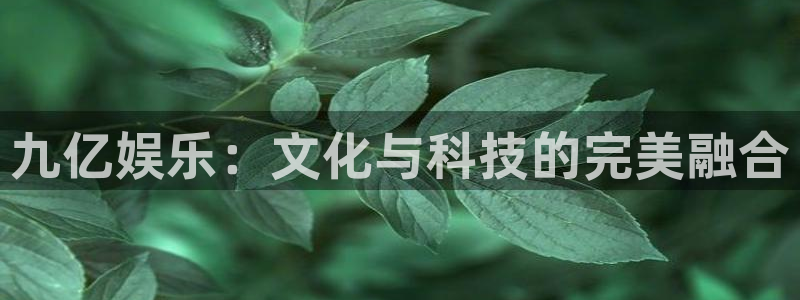 长运平台电子游戏网页版：九亿娱乐：文化与科技的完美融合