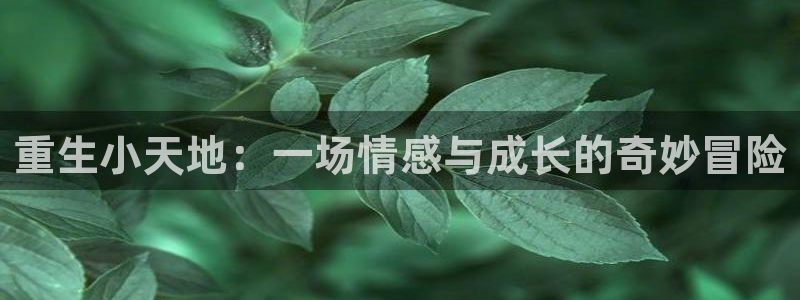 长运平台电子游戏：重生小天地：一场情感与成长的奇妙冒险