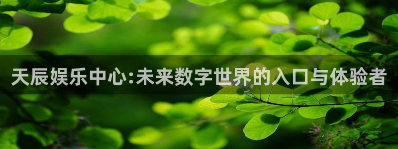 长运平台2官网：天辰娱乐中心:未来数字世界的入口与体验者