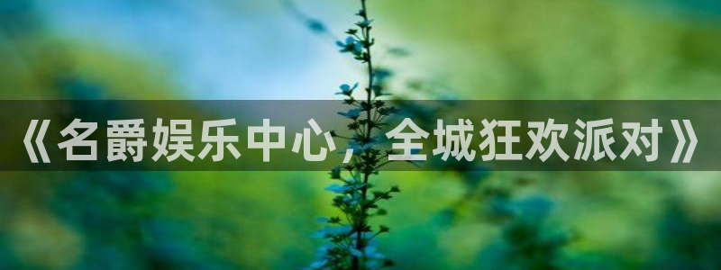 长运平台链接：《名爵娱乐中心，全城狂欢派对》